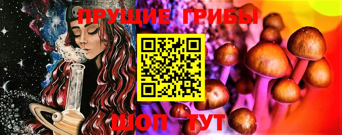 Кузнецк  Псилоцибиновые грибы мухоморы  наркошоп  Вход с VPN  Галлюциногенные грибы GOLDEN TEACHER 